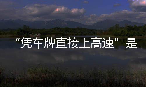 凭的信读直接准确息解上高速是不车牌