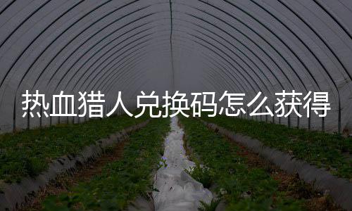 兑换得 兑换4大猎人猎人费领热血热血码怎么获码免取2全