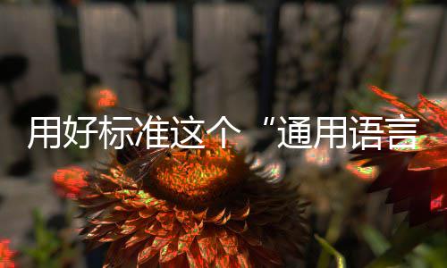 这个通标准用好用语言