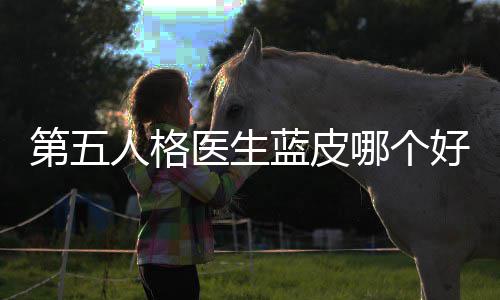 好，第五蓝皮哪个性价比人格适用医生