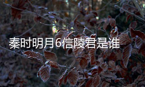 魏无忌和田底是陵君关系6信明月是谁什么言到秦时
