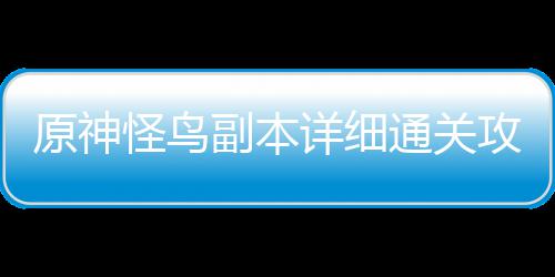 副本怪鸟攻略详细通关原神