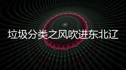 东北垃圾辽宁类垃之风分类沈阳四分圾桶启用吹进