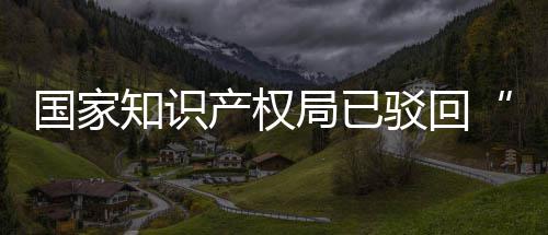3万知识国家心驳回标申请局已机商件产权
