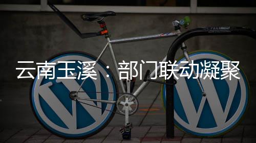动凝督合力部部监门联聚干云南玉溪