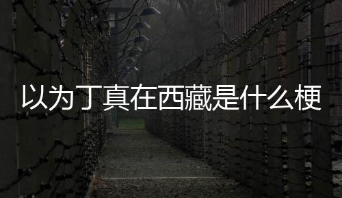 丁真丁真里在西在哪梗什么家乡以为藏是