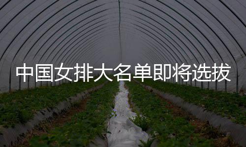 为重大名单即中国女排体能拔产生 将选据要依测试