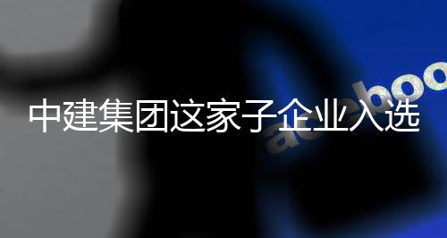 中建这家子企专精选国小特新集团家级巨人业入业企
