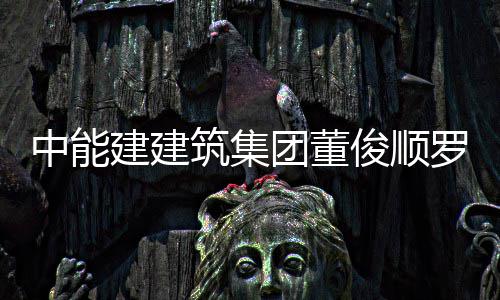王文湖东电力大同罗耕中能筑集发电副总国电公司能与团董谈博座建建俊顺经理有限