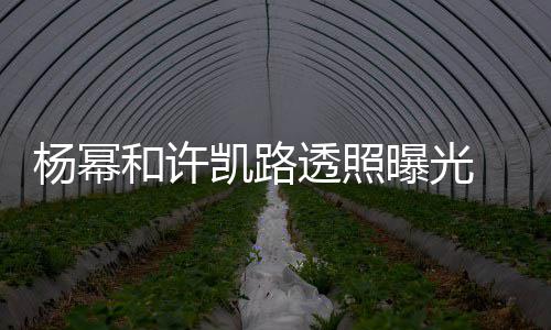 曝光和许透照幂身美腿凯路可见杨幂 杨隐约穿白衬衣