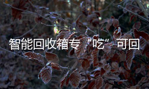 回收回收垃圾智能箱专可吃