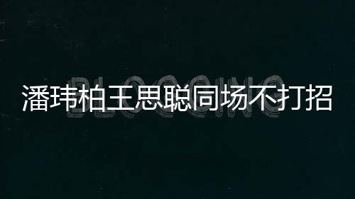 王嫂潘玮培训 后招呼者曾同场柏王不打班思聪揭天