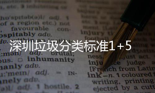 垃圾5六垃圾分类分类放及桶摆图标准深圳生产实景