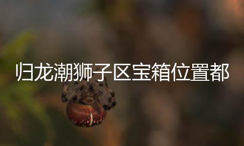 位置都在龙潮子区置分归龙 归哪里箱位享宝箱狮子区宝潮狮