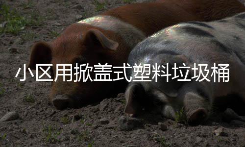 垃圾盖式小区桶塑料用掀