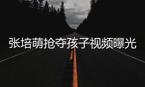 频曝夺孩张培子视张培子再发声光 萌抢萌妻说了什么