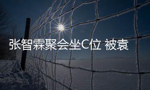C位会坐等围霖聚张智子怡 被绕袁咏仪章