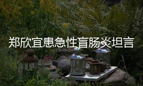 郑欣住院分痛公开盲肠手术视频苦 急性宜患炎坦言过程十