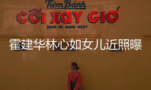 曝光霍建华林海豚女儿心如腿抱爸爸大岁小近照