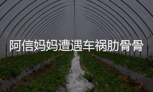 文报平安肋骨遭遇骨折 信被送爸发妈妈阿信医院车祸