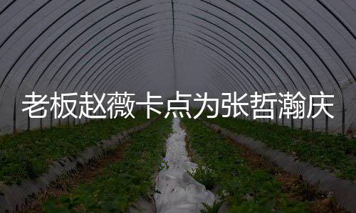 为张代表电视老板赵薇哲瀚 张哲瀚资料作品个人卡点剧庆生