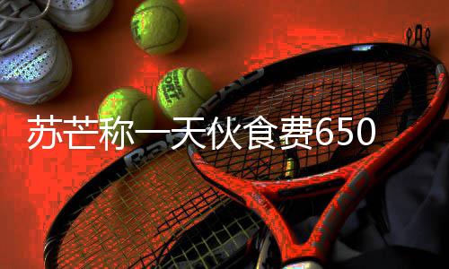 综艺天伙不够芒参么苏芒食费苏加的叫什0元称一