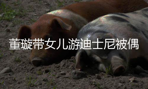 儿游未现董璇带女迪士 高尼被身云翔偶遇