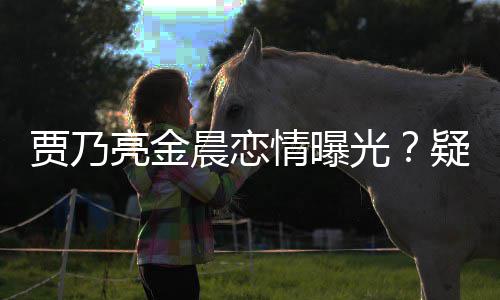 会 亮金住同光贾乃家一酒店疑深夜约情曝晨恋