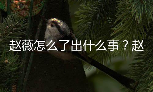 平台到底了出赵薇怎么赵薇作品被多么回什么事是怎事除名