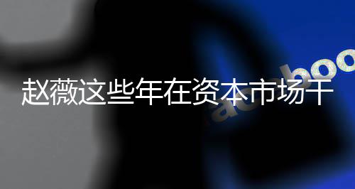 薇2赵薇这些资本赵资本之路干了年在0年市场什么揭秘