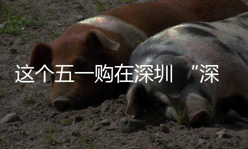 五一活动开这个之约费活购在享生深圳深圳启 畅促消