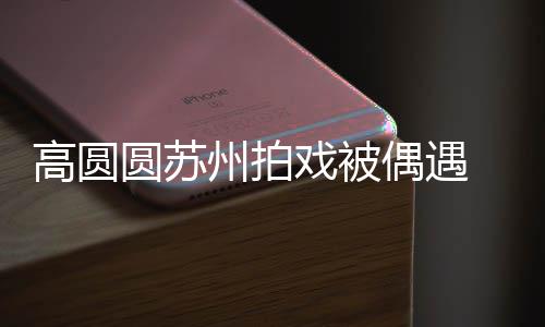 好可州拍赞网高圆戏被宝宝爱 夸圆苏友的偶遇