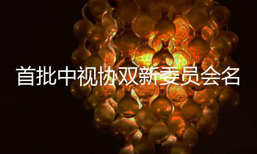 王等在列中视公布协双新委名单首批松韵凯谭员会