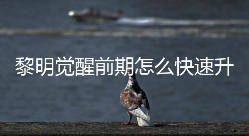 黎明 黎怎么法介醒快明觉升级速升绍快速觉醒级方前期