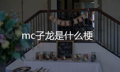 子龙么梗是什